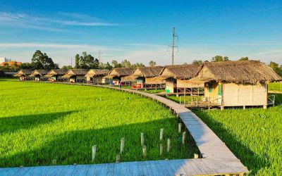 CẦN THƠ – NÉT ĐẸP VÙNG SÔNG NƯỚC 2N1Đ