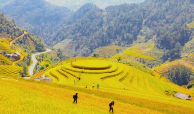 MÙ CANG CHẢI - ĐÈO KHAU PHẠ - SAPA - FANSIPAN - 4N3Đ