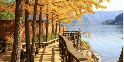 HÀN QUỐC: BUSAN - SEOUL - NAMI ISLAND - 5N4Đ