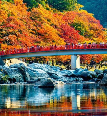 NHẬT BẢN: NARITA - TOKYO - YANAMASHI - OSAKA - 6N5Đ