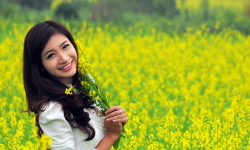 TOUR GHÉP MAI CHÂU - MỘC CHÂU 2 NGÀY